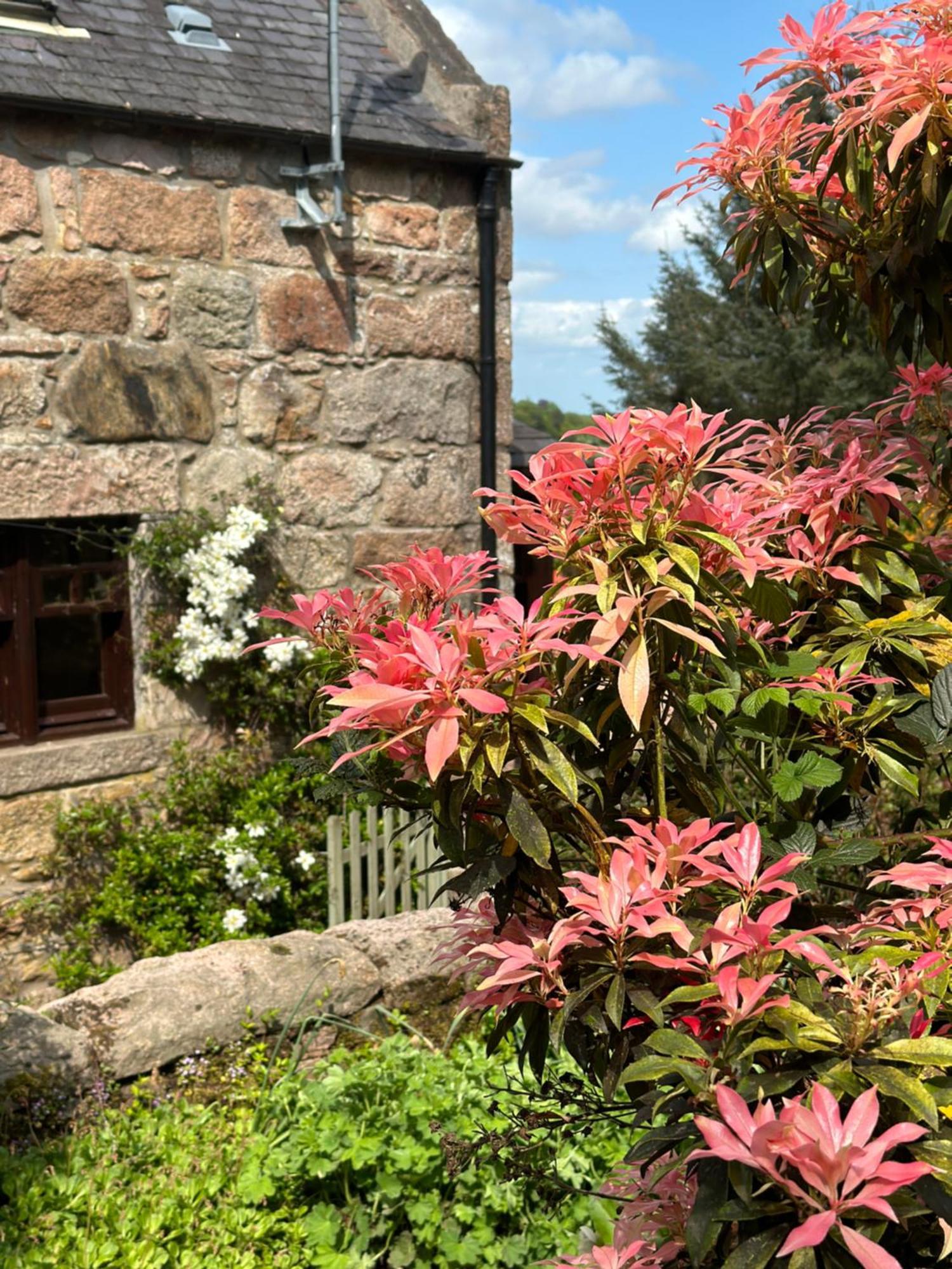 Awakening Alchemy Retreat Centre Bed and Breakfast Inverurie Eksteriør billede