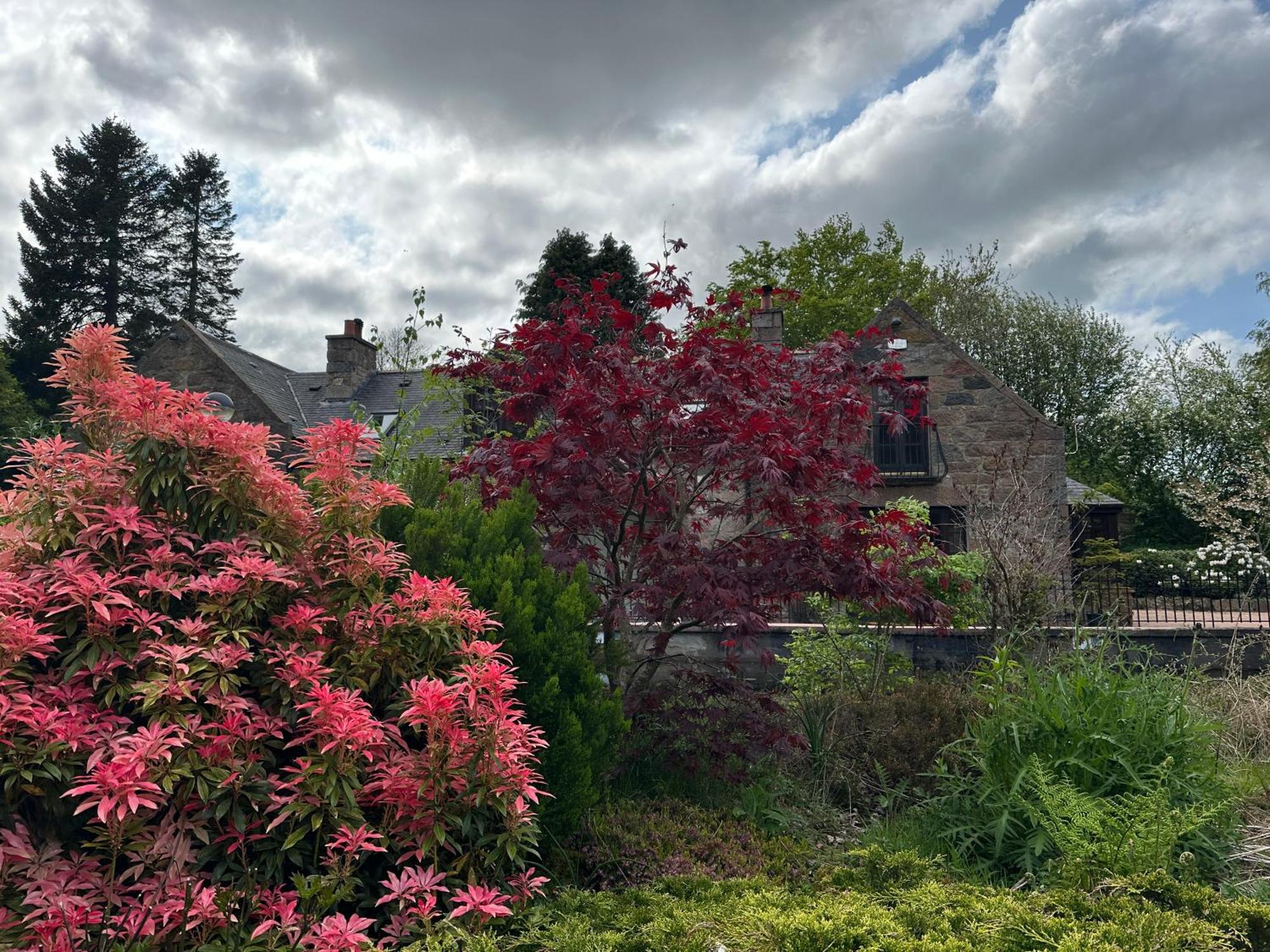 Awakening Alchemy Retreat Centre Bed and Breakfast Inverurie Eksteriør billede