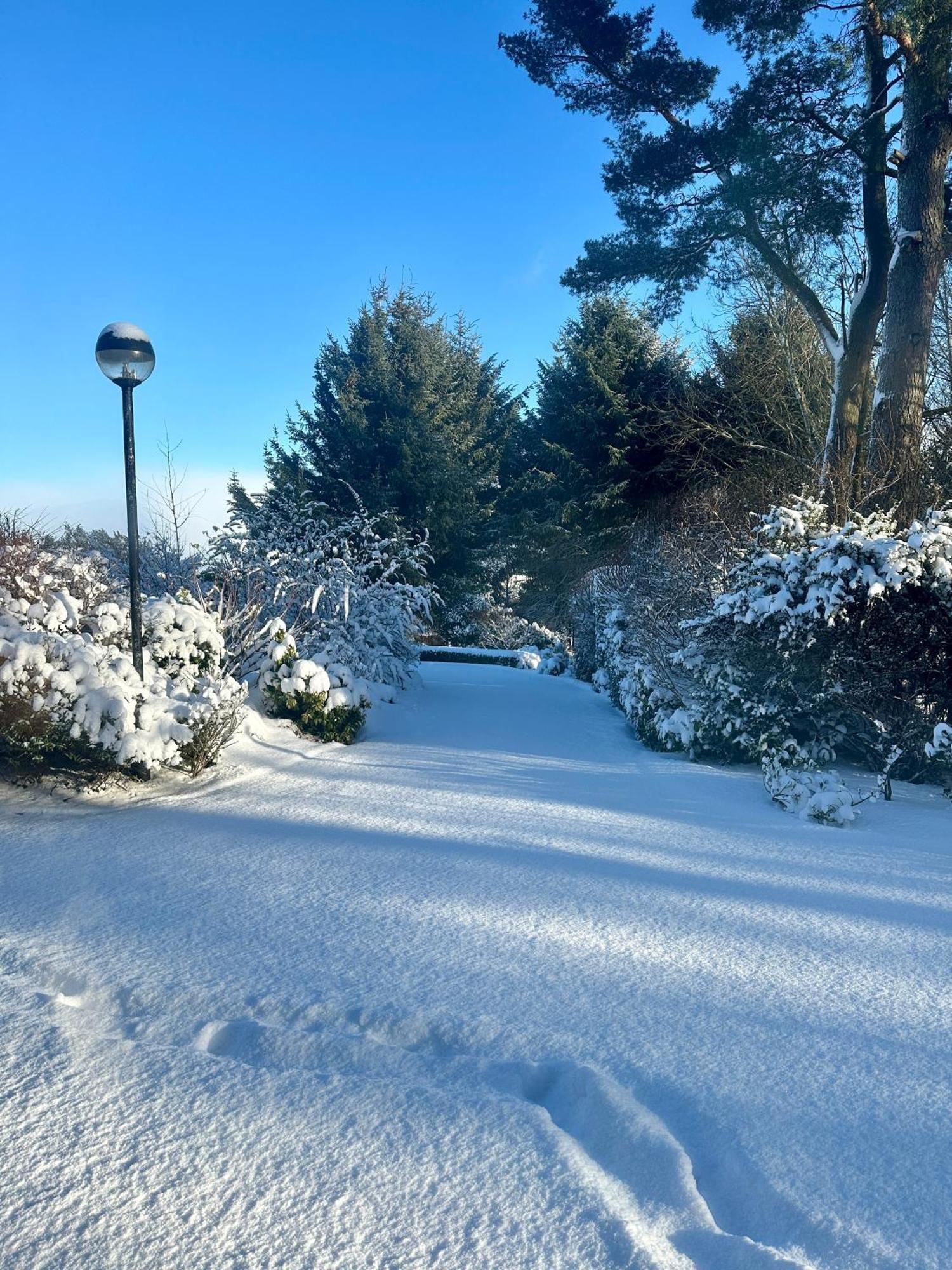 Awakening Alchemy Retreat Centre Bed and Breakfast Inverurie Eksteriør billede